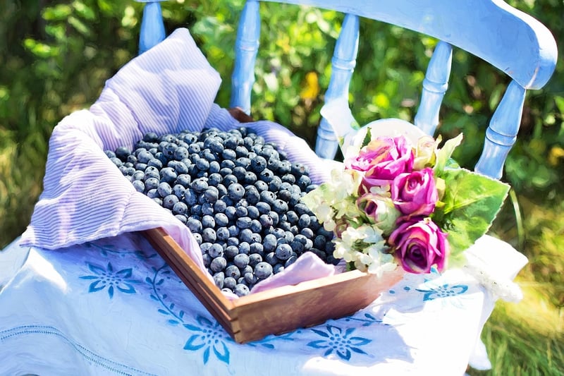 Woven Basket